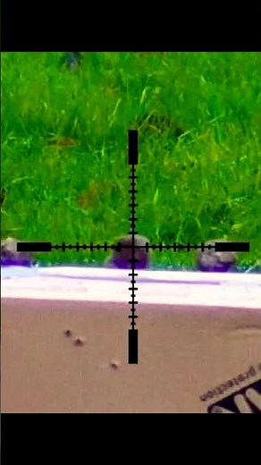 Sight mark wraith #airrifleshooting #hunting
