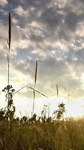 ¡Muy buenos días, prepárate para disfrutar esta jornada en Veracruz! ☀️ Este martes 6 de febrero de 2024. Así estará el clima 🌴🌊 #clima #veracruz | Código Veracruz Noticias