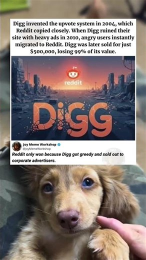 The Brutal Reality of Reddit's Stolen Empire 🤯 #memes #funny #pets