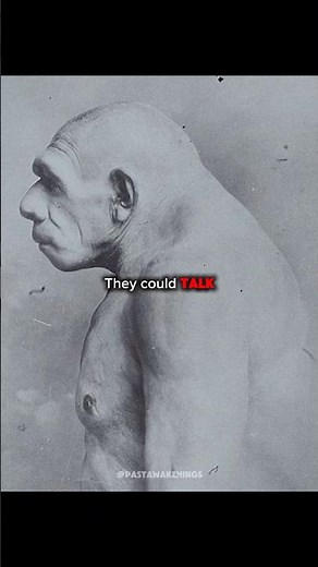 There’s More To Them Than You Think..😳 #prehistoricanimals #dinosaur