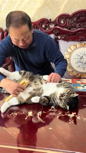 Daily Grooming: The Must-Clean Big Flower Roll Tiger-Skin Cardigan