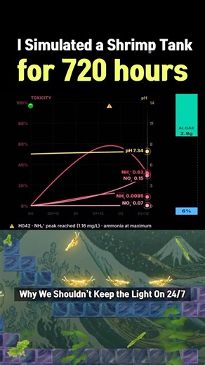 I Simulated a Shrimp Tank for 720 hours