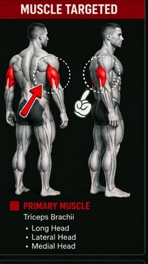 Best Dumbbell Exercise for Triceps 🔥 Grow Your Triceps Fast with Kickbacks Tricep Isolation Exercise You Need ⚡ Perfect Tricep Kickback Form ✅ Description 📈 Build stronger and bigger triceps with dumbbell kickbacks 💪 This isolation exercise targets all three heads of the triceps for better arm definition and muscle growth. Focus on controlled reps and full extension for maximum contraction. 🔥 #triceps #tricepworkout #dumbbellworkout #gymmotivation