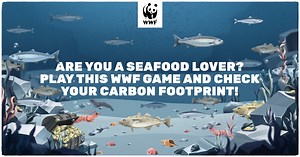 WWF Finprint Game