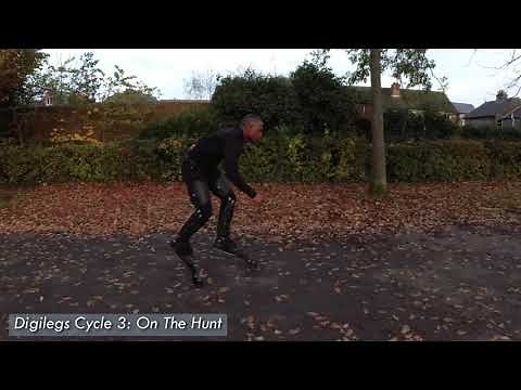 Reference Video For Animation - 4 Creature Walk Cycles Using Digilegs