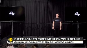3.4K views · 30 reactions | #Neuralink claims its brain chip interface can help disabled patients Neuralink plans to start the trial in six months Is it ethical to experiment on your brain? For more videos, visit: https://www.wionews.com/videos | WION | Facebook