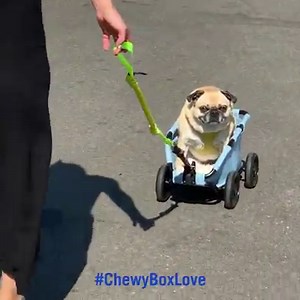 Off to score deals at the Chewy Blue Box Event. See you there. 👉 https://chwy.co/31gqWCj | Chewy