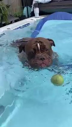 685K views · 12K reactions | He’s getting so good at swimming he kept his nose above water the entire time. I think it’s important to teach him how to safely get out of the pool if he ever gets in without me around which is highly unlikely but still possible. So here we are learning how to get in and out on his own.. He’s a big baby.. | Smiles for Baby Charley | Facebook