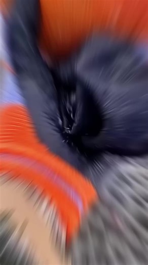 Amazing Facts About the United States You Didn't Know