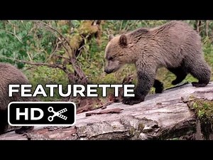 Bears Featurette - Protecting Wildlife (2013) - Disneynature Documentary HD