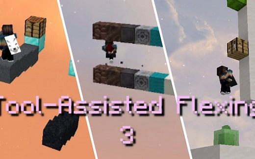 各种Minecraft里的TAS操作 (3)