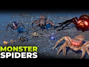 Giant Spider Monsters Size Comparison 3D | From Smallest to Largest