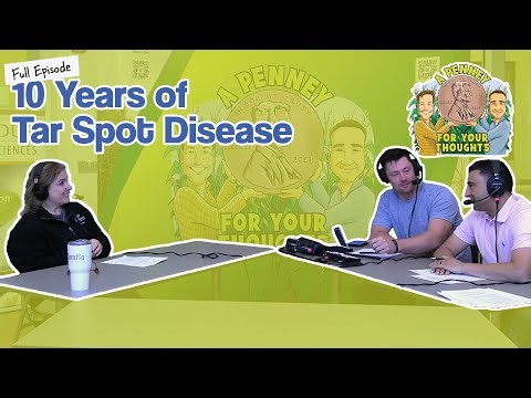 10 Years of Tar Spot Disease with Purdue University’s Darcy Telenko
