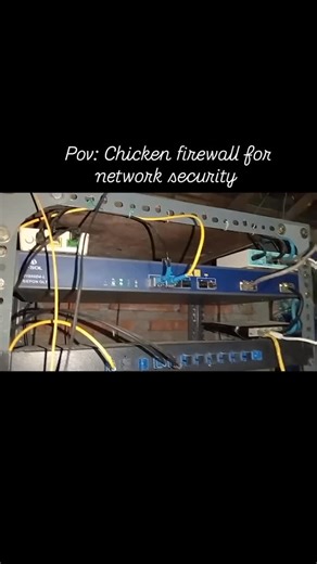 Cloud City Center on Instagram: "Chicken-powered firewall in production 🐔🔥 When the security budget is exactly 0, but uptime still has to be 99.99% — you improvise. Why invest in IDS, IPS and NGFW, when you can deploy a real guard chicken right above the rack? One eye on the cables, one eye on the intruders, instant alerting by loud crowing and 24/7 “monitoring” without coffee breaks. Of course, in real life please don’t repeat this at home lab: good network security = нормальный firewall, обн
