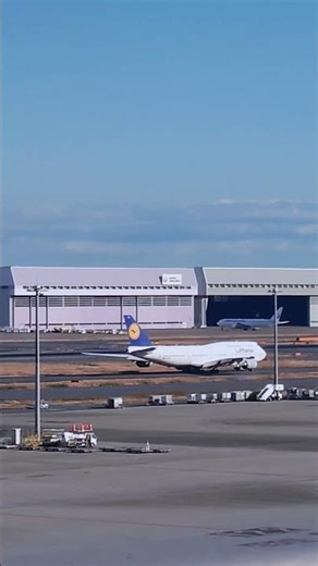 #Lufthansa ルフトハンザドイツ航空。ドイツのケルンに本拠を置く同国最大の航空会社。空の女王。ボーイング747-8は希少 #aircraft #羽田空港 #国際ターミナル #shouts