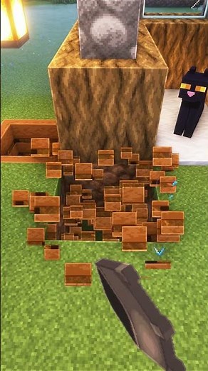 Minecraft House for my Pets 🥺 #shorts