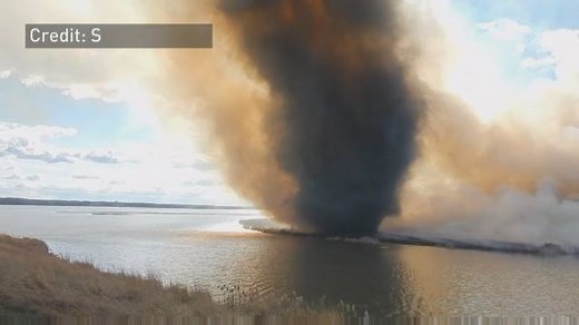 5.8M views · 40K shares | Yet another eye-popping video of the 'fire...