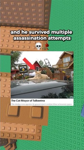 A Cat Became Mayor 🥰 #shorts