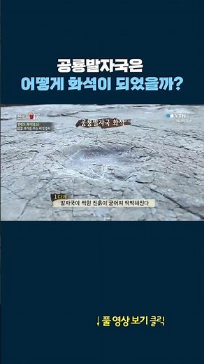 공룡발자국은 어떻게 화석이 되었을까 #shrots