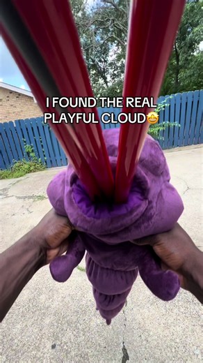 aplayfulcloud on TikTok