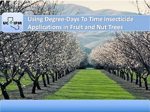 Using Degree-days to Time Insecticide Applications in Fruit and Nut Orchards