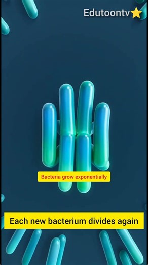 Why Bacteria Multiply So Fast 🦠#sciencefacts#biology#bacteria#microbiology#didyouknow#science