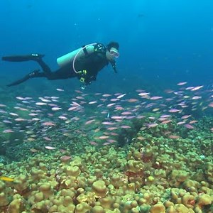 What are the biggest threats facing our ocean today? Plastic pollution, overfishing, and a warming climate are only the tip of the iceberg. https://pew.org/3LsPai5 | The Pew Charitable Trusts