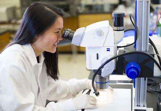 Department of Biological Sciences