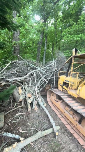 John Deere 450C pushing tree trash#johndeere #heavyequipment #construction #bulldozer #trees