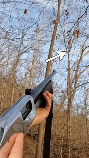 Pov: Squirrel Hunting 🐿️