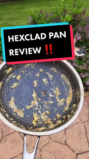 Hexclad Pan Review Comparison: Swiss Diamond vs Hex Clad
