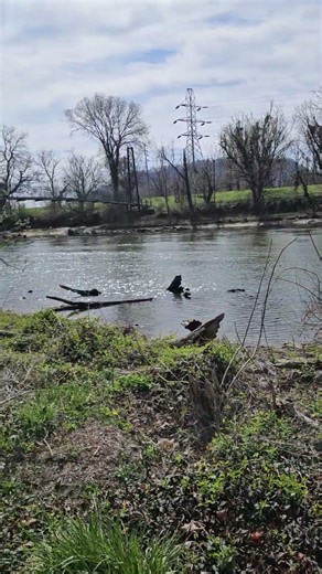 on a walk and beautiful view #easttn #trail #walking #tennessee