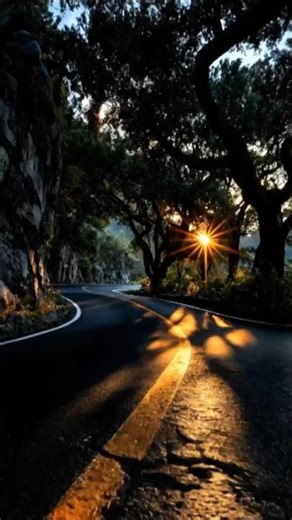 ✅️ The Ultimate Scenic Road Trip 🚗💨| Nature’s Golden Hour 🌟| Beautiful Forest DriveExperience 🌅