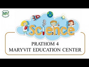 Science P.4 : Week 1 | No.1 Classification of Living Thing Animals