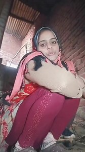 Hello friends good morning | परवीन भावी