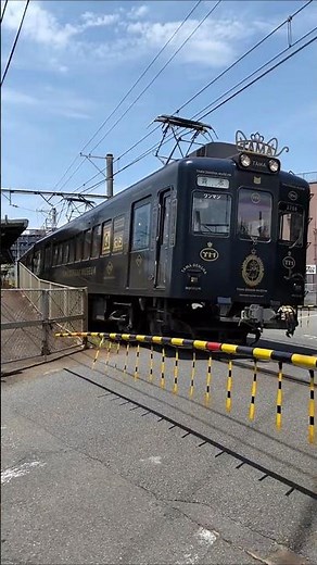たま電車ミュージアム号 和歌山電鐵 貴志川線 貴志行#電車 #たま駅長 #和歌山