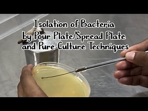 Cell n Microbio Lab 🧫 | Life of Biotech Student 🥼| Isolation of Bacteria 🦠 Full video🫶🏻