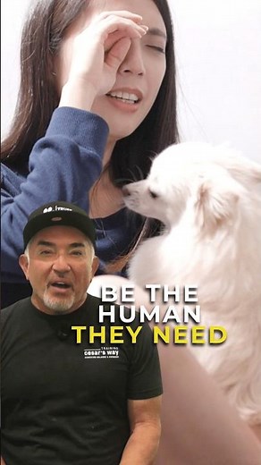 Are You the Human Your Dog Needs? | Cesar Unleashed
