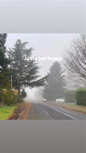 A day that seemed to fall into nothingness. #Fog | Alan John Bennett