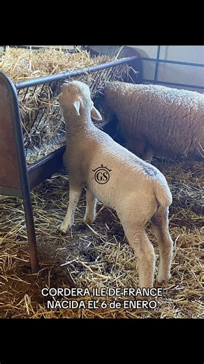 Nacida el 6 de Enero