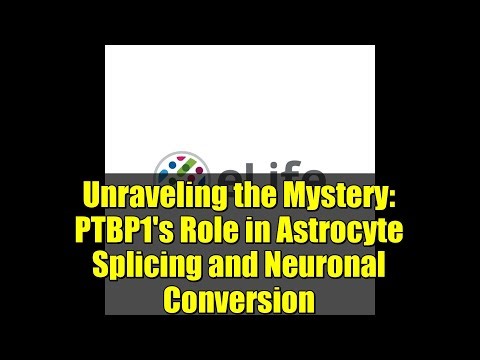 Unraveling the Mystery: PTBP1's Role in Astrocyte Splicing and Neuronal Conversion