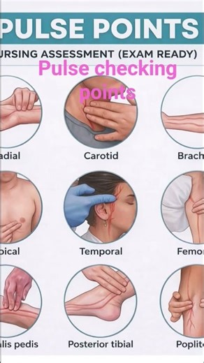 pulse checking points