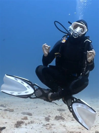 How to Build a Career as a Marine Biologist and Underwater Photographer