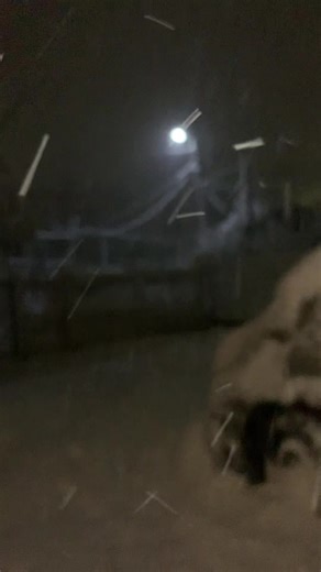 pretty snow❄️ #snow #winter #snowatnight #fyp #foryou