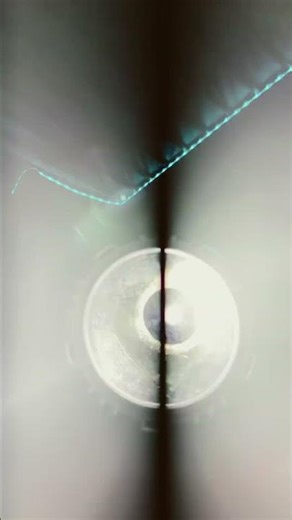 Think fast chuckle nuts #meme #funny # chucklenuts