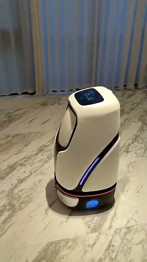 ROBINT Hotel Service Robot