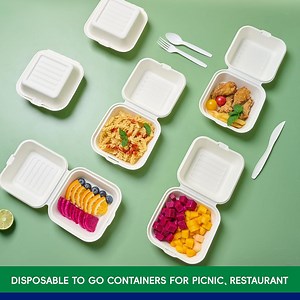 [Hot Item] Biodegradable Clamshell Takeout Food Containers for Thanksgiving, Salad, Lunch