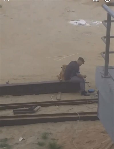 Zij : je hebt echt dagu dagu manieren hor Jayyh!! Also me : jaaa omdat na deng dagu ey mek mi kap walo hights ik kan met honden praten 🙌🏽🥳 | Oom Savage