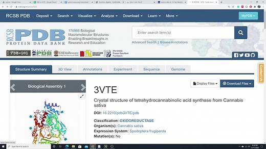 PyMol-氢键作用-测量距离