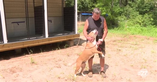 Jefferson County Animal Control faces capacity crisis, seeks urgent help for pets